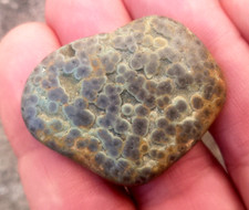 Superb variolite 36mm d'occasion  Expédié en Belgium