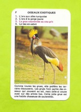 Card no. exotic d'occasion  Expédié en Belgium