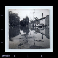 Old vintage photo for sale  Grass Valley