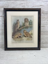Mounted framed thorburn for sale  LISKEARD