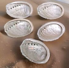 Coquilles ormeaux nacre d'occasion  Concarneau