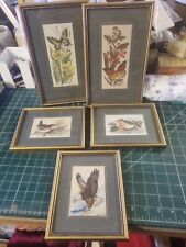 Joblot vintage pictures for sale  STOWMARKET