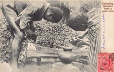 Ghana extracting palmwine d'occasion  France