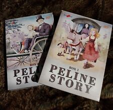 Peline story box usato  Aprilia