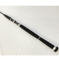 Usado, Vara giratória Daiwa SALTIGA COASTAL SG-58S-2/3S para gabarito usada comprar usado  Enviando para Brazil