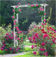 Arco giardino metallo usato  Chivasso