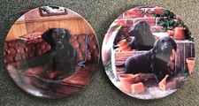 Dog plates lady for sale Dog plates lady for sale  DARTMOUTH