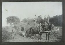 Vintage harvest photograph for sale  Hays