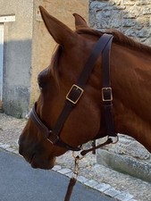 Reproduction licol modèle d'occasion  Martel