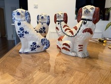 Staffordshire spaniel dog for sale  ROMSEY