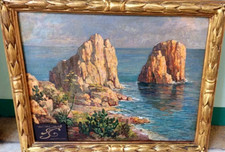 Faraglioni capri napoli usato  Genova