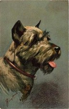 Cpa pinscher dogs usato Cpa pinscher dogs usato  Spedire a Italy