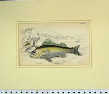 Original old antique for sale Original old antique for sale  UK