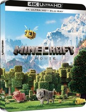 Minecraft. steelbook day usato  Ascoli Piceno