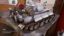 Taigen german tiger for sale  SLEAFORD