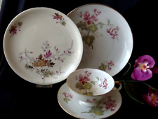 Hutschenreuther porzellan wei� gebraucht kaufen  Dorshm., Guldental, Windeshm.