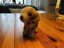 Steiff hund beggie gebraucht kaufen  Greifswald-Alte Stadtteile