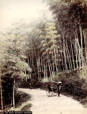 Japan rickshaw and d'occasion  Pagny-sur-Moselle