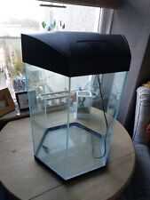 Small hexagonal fish for sale  CAERNARFON