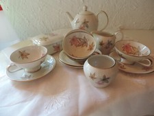 Rosenthal thomas porzellan gebraucht kaufen  Gaimersheim