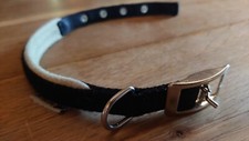 Halsband hunde ferplast gebraucht kaufen  Landshut