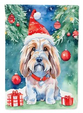 Petit basset grifone usato  Spedire a Italy