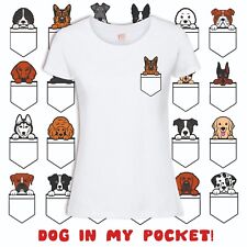 Pocket puppy dog for sale  LEICESTER