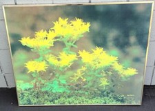 Beautiful floral art for sale  Monrovia