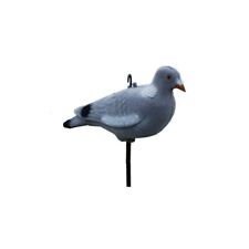 Lockvögel taube vollschale gebraucht kaufen  Papenburg