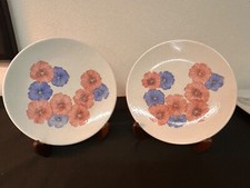 Coppia piatti ceramica usato  San Donato Milanese