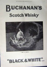 Old print ref.954 for sale  UK