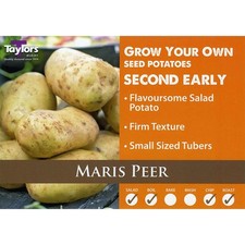 Maris peer winter for sale  ROSS-ON-WYE