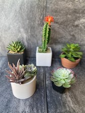 Small assorted artificial for sale  Cartersville