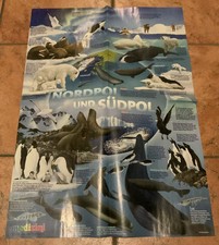Wissensposter medizini nordpol gebraucht kaufen  Husum