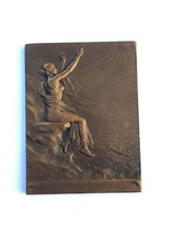 Plaquette bronze inondations d'occasion  Menton