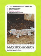 Carte petits animaux d'occasion  Nancy-