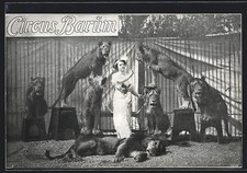 Circus barum dompteurin gebraucht kaufen  Berlin