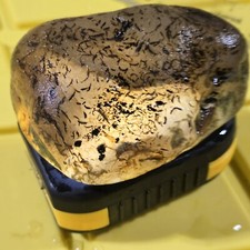 Montana moss agate for sale  Sidney