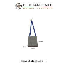 Spazzole carboncino 8x28x30.5 usato  Monopoli