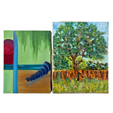Tree backyard fence for sale  Billerica