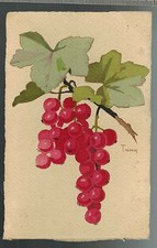Cpa carte postale d'occasion  Dijon