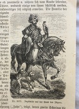 1900 falken falkenjagd gebraucht kaufen  Berlin