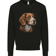Brittany spaniel dog for sale  COVENTRY