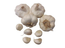 Pflanzknoblauch zum stecken gebraucht kaufen  Lehrte