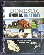 Usado, Domestic Animal Anatomy comprar usado  Enviando para Brazil