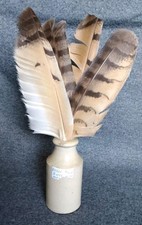 feather quill for sale  USK