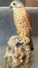 Kestrel border fine for sale  INVERNESS