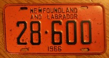 Single newfoundland labrador for sale  Plattsmouth