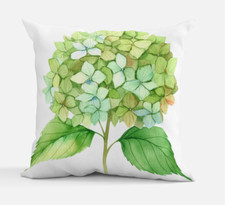Beautiful green hydrangea for sale  Miami