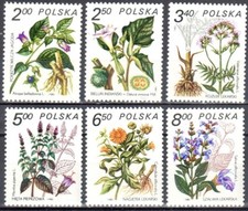 Poland 1980 - Medicinal plants. - Mi 2706-11 - MNH (**) na sprzedaż  PL